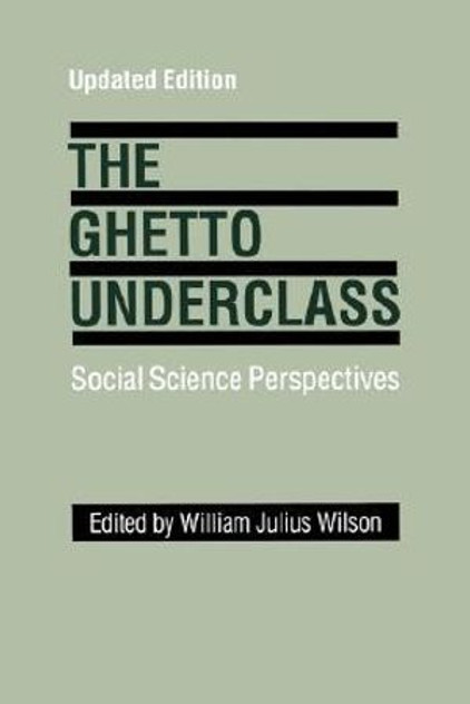 The Ghetto Underclass The Ghetto Underclass