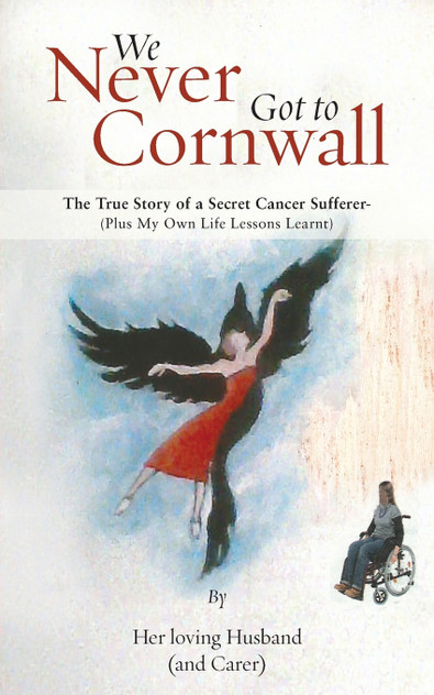 We Never Got to Cornwall We Never Got to Cornwall