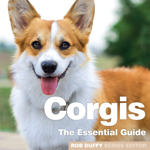 Corgis Corgis