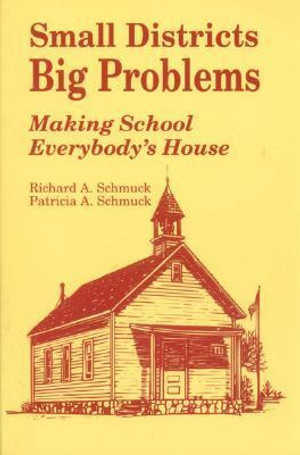 Small Districts, Big Problems