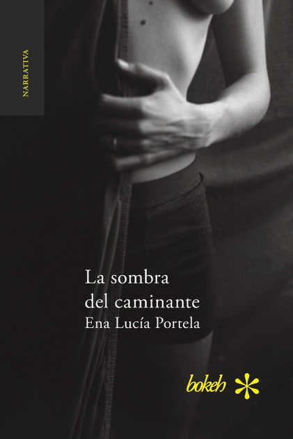 La sombra del caminante La sombra del caminante