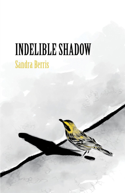 Indelible Shadow Indelible Shadow