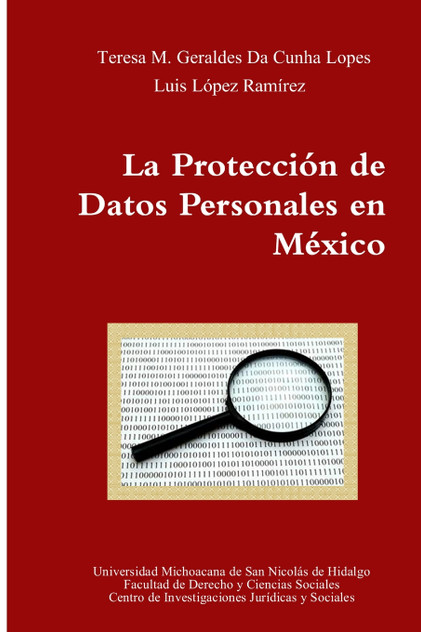 La Protección de Datos Personales en México La Protección de Datos Personales en México