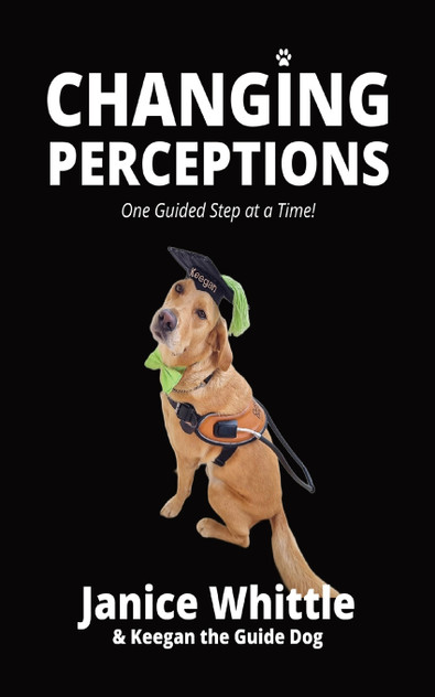 CHANGING PERCEPTIONS One Guided Step at a Time! CHANGING PERCEPTIONS One Guided Step at a Time!