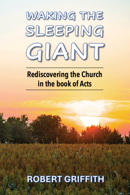 WAKING THE SLEEPING GIANT WAKING THE SLEEPING GIANT