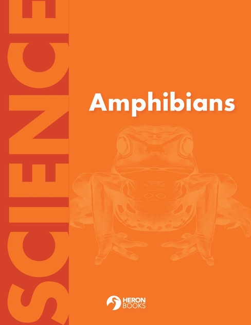 Amphibians Amphibians