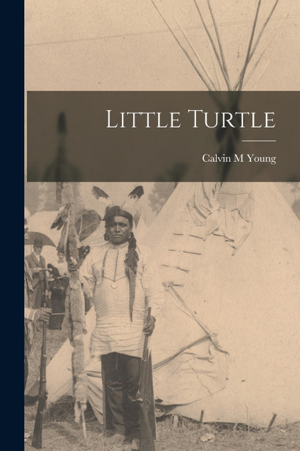 Little Turtle Little Turtle