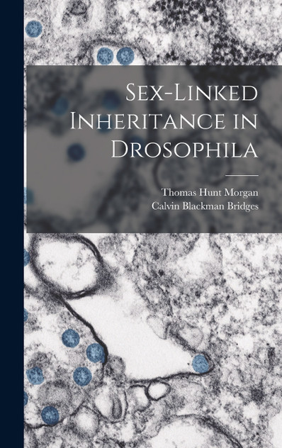 Sex-Linked Inheritance in Drosophila