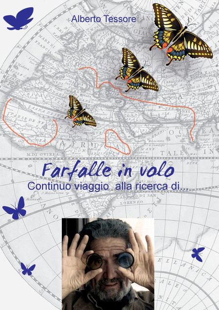 Farfalle in volo - Continuo viaggio alla ricerca di... Farfalle in volo - Continuo viaggio alla ricerca di...