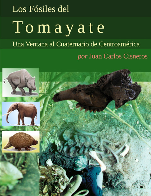 Los Fósiles del Tomayate Los Fósiles del Tomayate