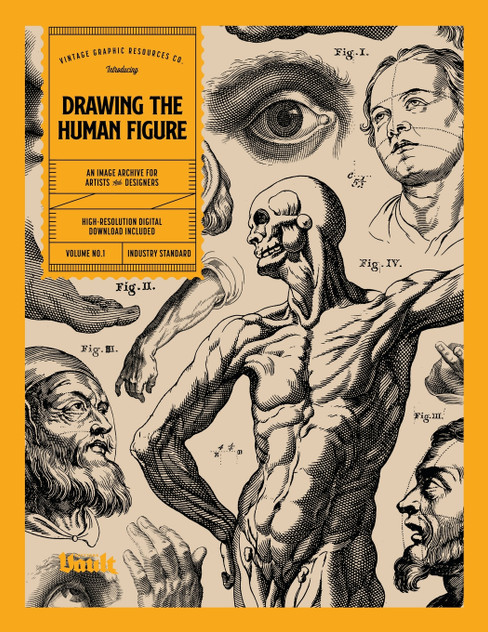 Drawing the Human Figure Drawing the Human Figure