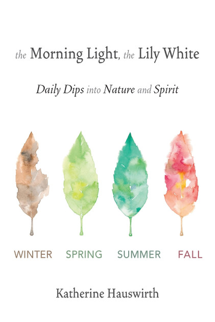 The Morning Light, The Lily White The Morning Light, The Lily White