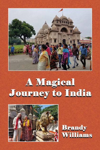 A Magical Journey to India