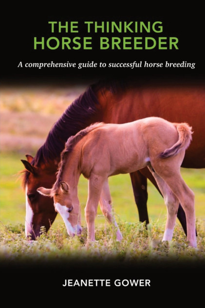 The Thinking Horse Breeder The Thinking Horse Breeder