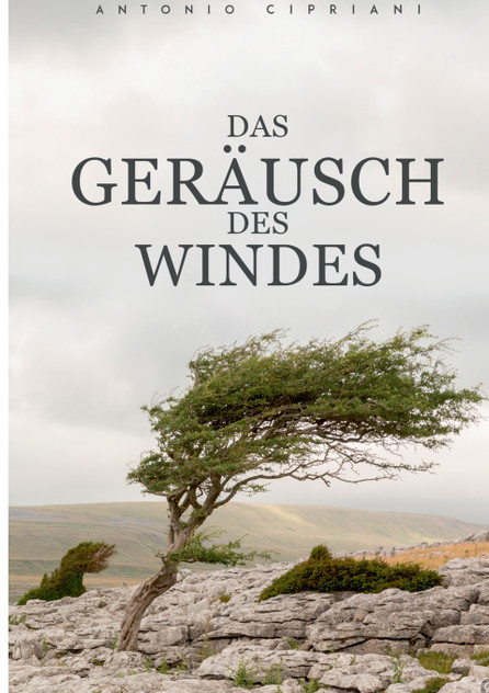 Das Geräusch des Windes Das Geräusch des Windes