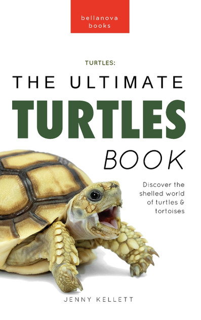 Turtles The Ultimate Turtles Book Turtles The Ultimate Turtles Book