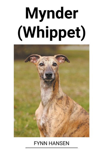 Mynder (Whippet)