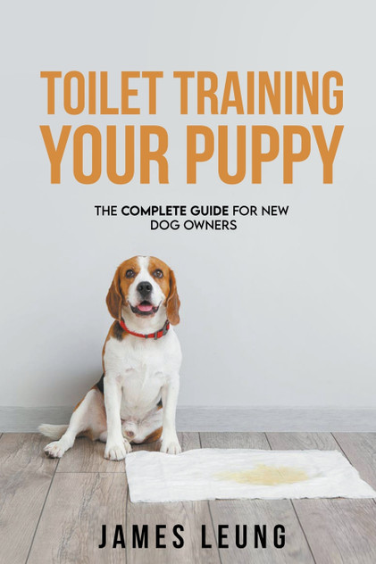 Toilet Training Your Puppy Toilet Training Your Puppy