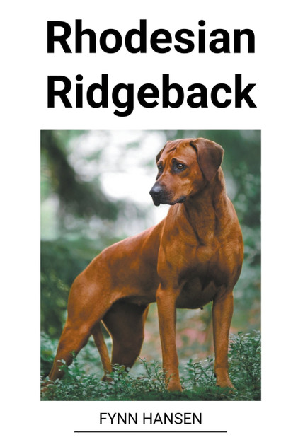 Rhodesian Ridgeback Rhodesian Ridgeback