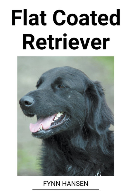 Flat Coated Retriever Flat Coated Retriever