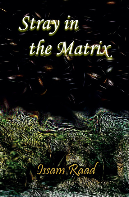 Stray in the Matrix