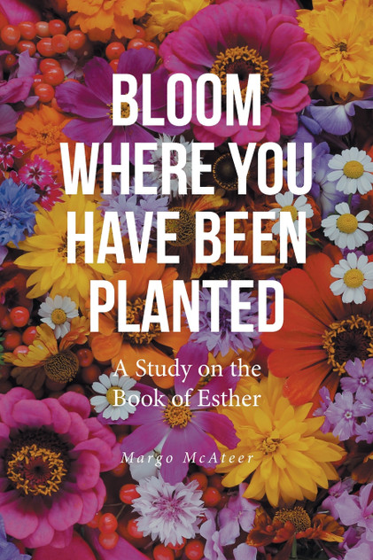 Bloom Where You Have Been Planted Bloom Where You Have Been Planted