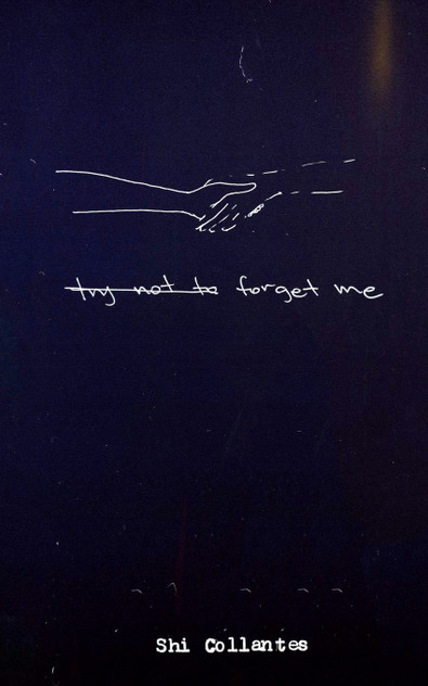 (Try Not To) Forget Me (Try Not To) Forget Me