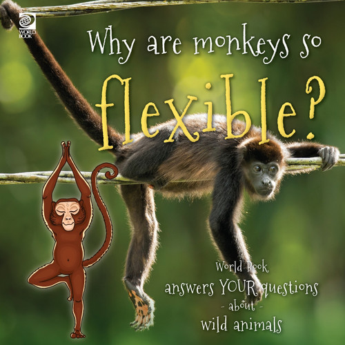 Why are monkeys so flexible? Why are monkeys so flexible?