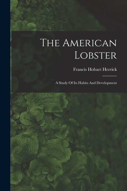 The American Lobster The American Lobster