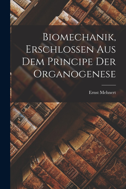 Biomechanik, Erschlossen aus dem Principe der Organogenese