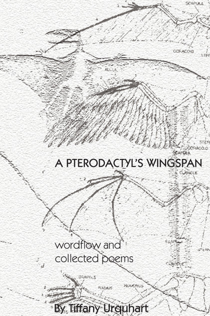 A Pterodactyl's Wingspan A Pterodactyl's Wingspan
