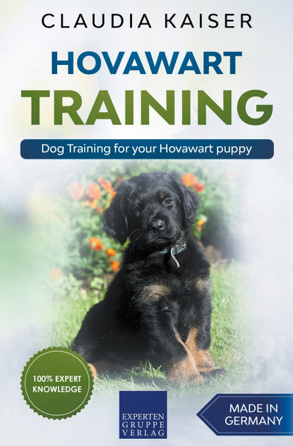 Hovawart Training - Dog Training for your Hovawart puppy Hovawart Training - Dog Training for your Hovawart puppy