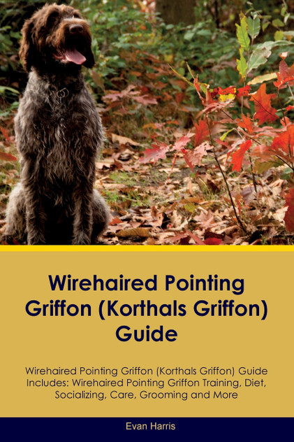 Wirehaired Pointing Griffon (Korthals Griffon) Guide Wirehaired Pointing Griffon Guide Includes Wirehaired Pointing Griffon (Korthals Griffon) Guide Wirehaired Pointing Griffon Guide Includes