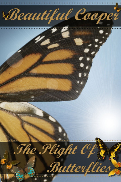 The Plight of Butterflies The Plight of Butterflies