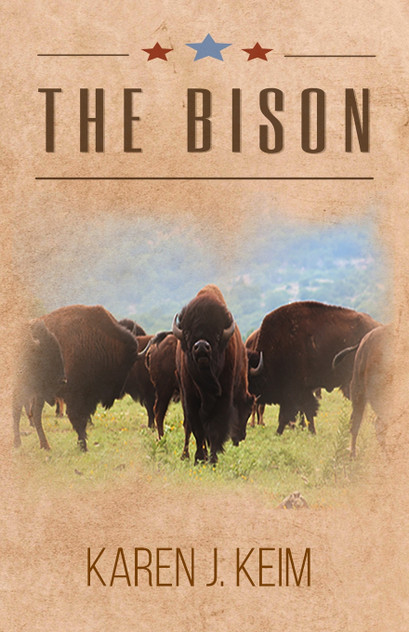 The Bison The Bison