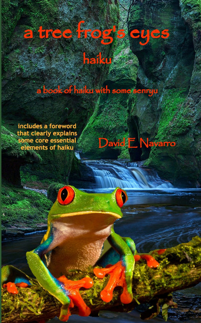 A Tree Frog's Eyes A Tree Frog's Eyes