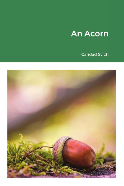 An Acorn An Acorn