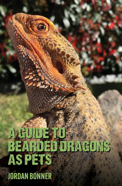 Guide to Bearded Dragons as Pets Guide to Bearded Dragons as Pets