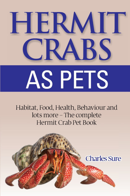 Hermit Crab Care Hermit Crab Care