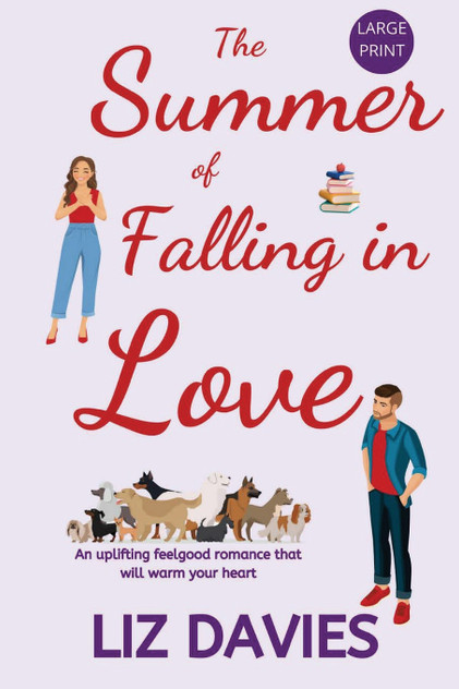The Summer of Falling in Love The Summer of Falling in Love