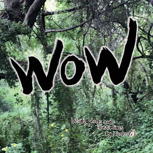 WOW by Junko WOW by Junko