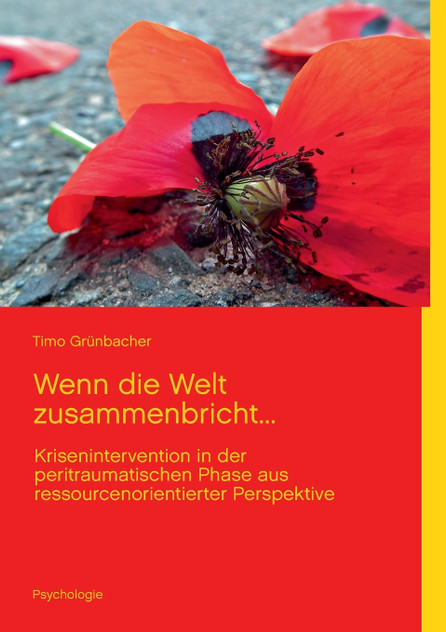 Wenn die Welt zusammenbricht... Wenn die Welt zusammenbricht...