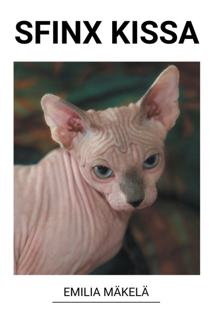 Sfinx Kissa Sfinx Kissa