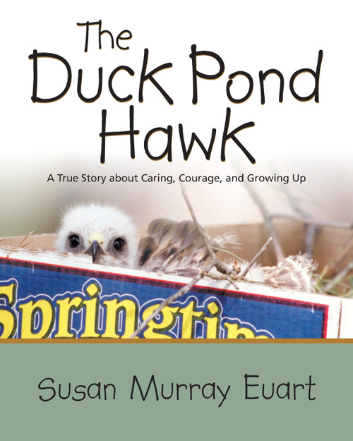 The Duck Pond Hawk The Duck Pond Hawk