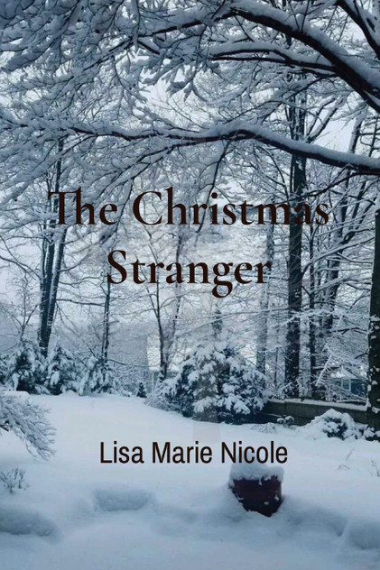 The Christmas Stranger