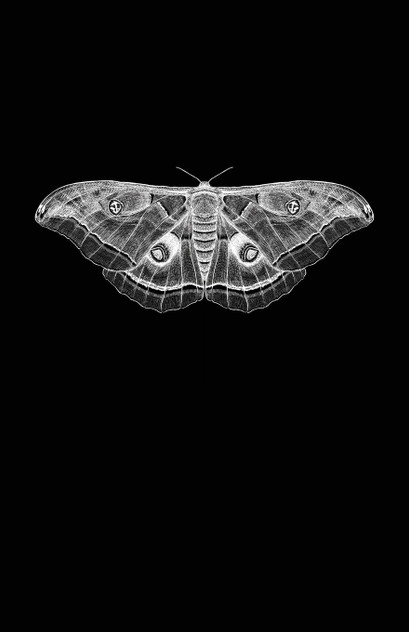 All The Words I Dare Not Speak