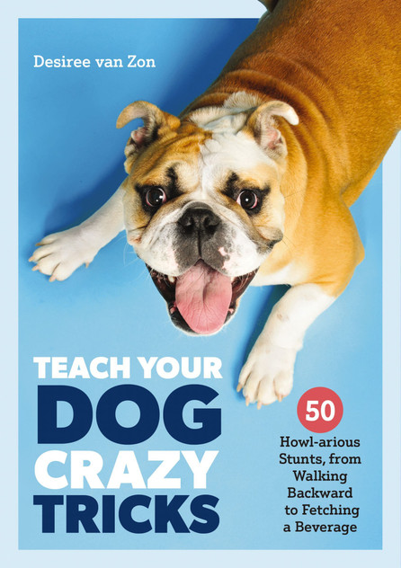 Teach Your Dog Crazy Tricks Teach Your Dog Crazy Tricks