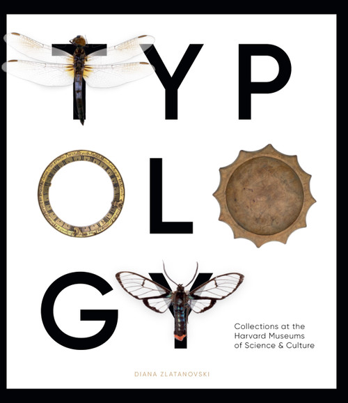 Typology Typology