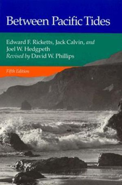 Between Pacific Tides Between Pacific Tides