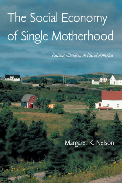 The Social Economy of Single Motherhood The Social Economy of Single Motherhood
